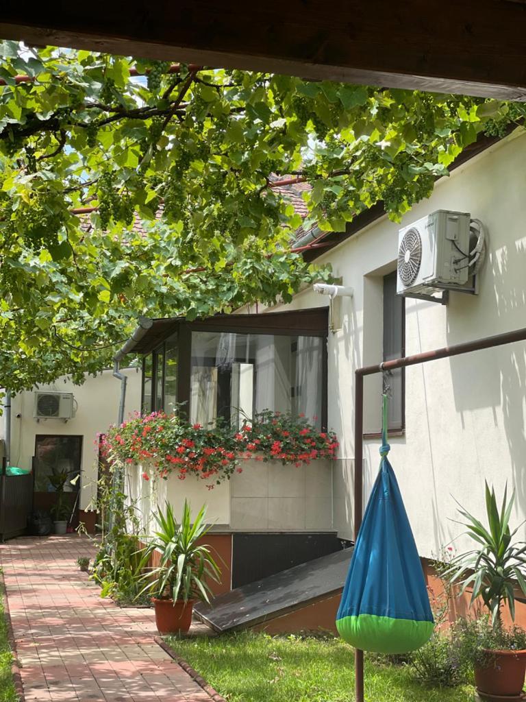 Ana'S Home Sibiu Exterior foto